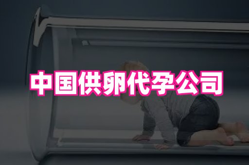长春助孕网站 1