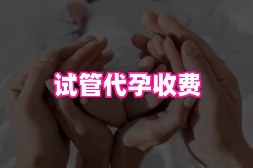 长春助孕网站 2